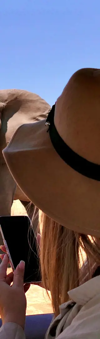 Auge in Auge mit den grauen Riesen